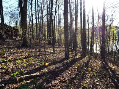 LOT 21 Deer Trl, La Follette, TN, 37766