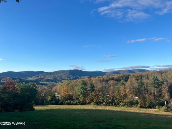 168 N Shaffer Hill Rd, Cogan Station, PA 17728