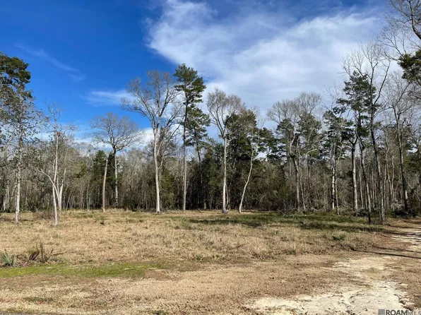 LOT 9 Ridgeway Ave, Denham Springs, LA 70726