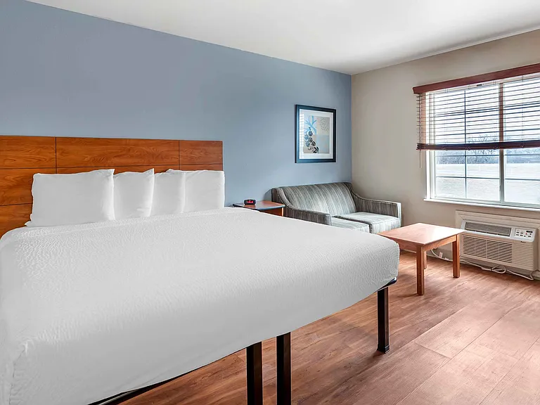 Studio Suite - 1 King Bed