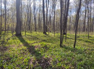 Off Shore Road South Acres #35, Land O Lakes, WI 54540