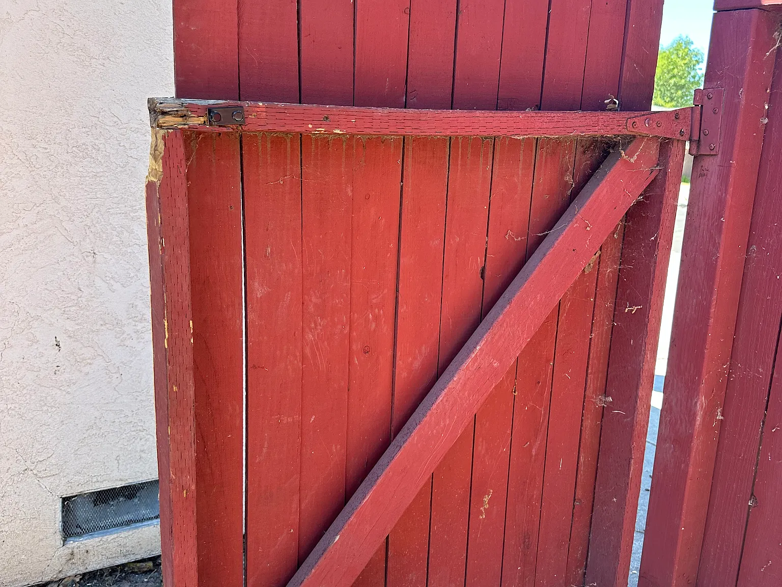 1310 Princess Dr — Photo 3