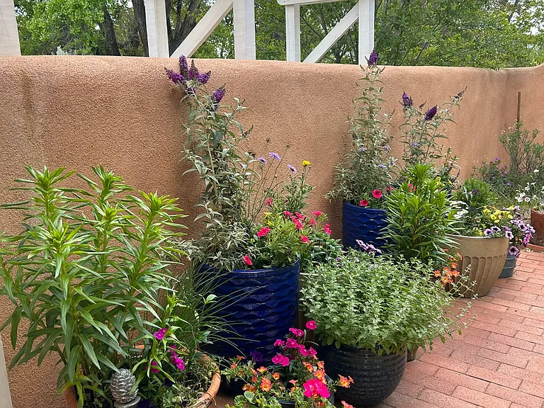 Additional view of Nambe Casita patio.