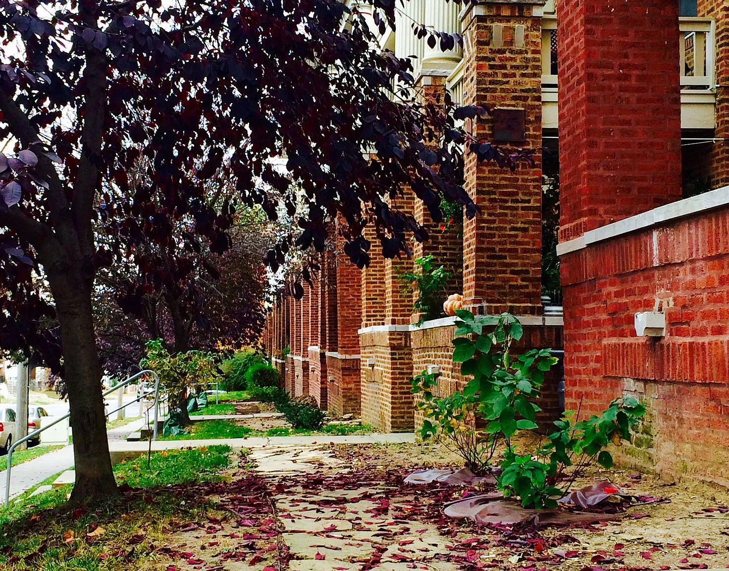Garden Apartments — Photo 3