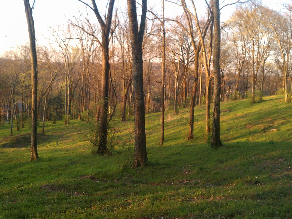 1st image of 1408 Old Hickory Blvd