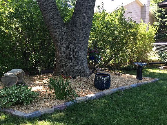 Landscaping/ Shade