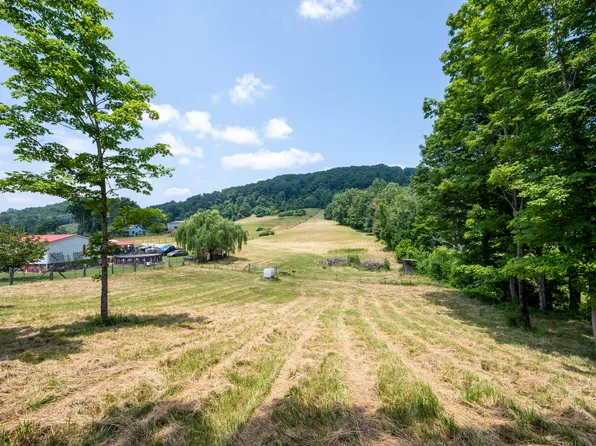 Carters Valley Rd, Surgoinsville, TN 37873