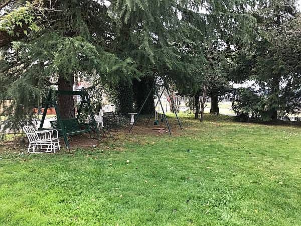 Your own private forest park