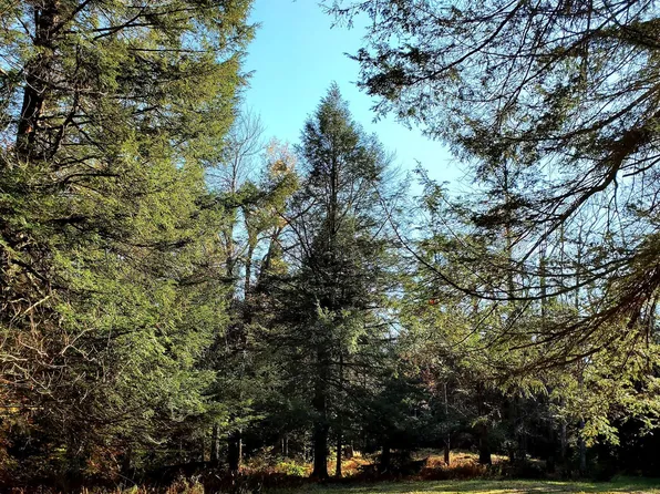 508 & 509 Spruce Ln #508, Pocono Lake, PA 18347