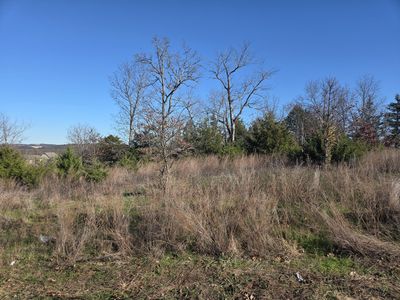 112 Black Forest Lane, Reeds Spring, MO, 65737