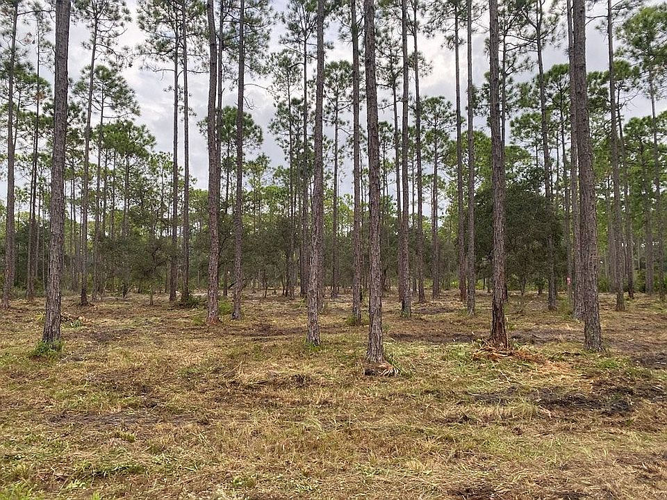 1st image of 6317 Turkey Cove Ln