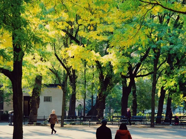 55 Suffolk Street image 31 of 42