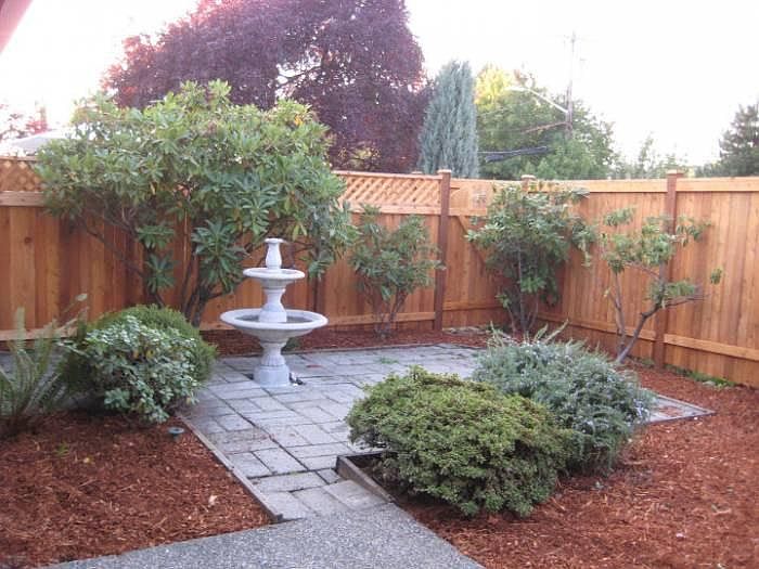 Back yard (older photo)