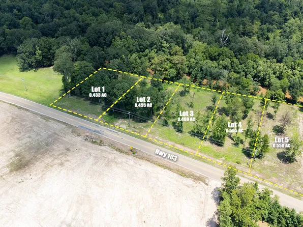 Highway 103 Lot 2-4, Washington, LA 70589