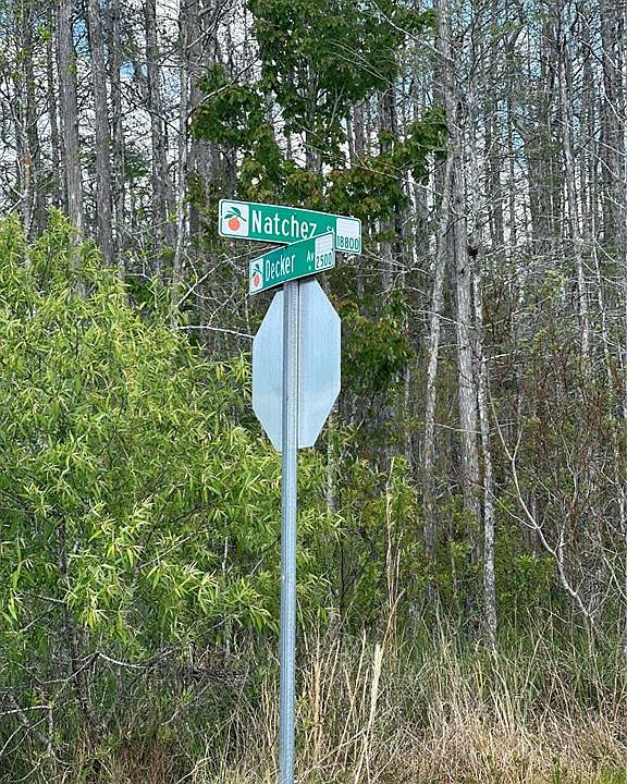 1st image of Natchez St Lot 1