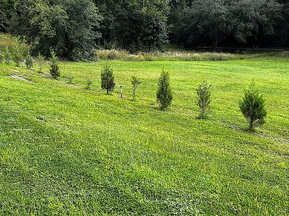 5th image of 1675 County Road 543a