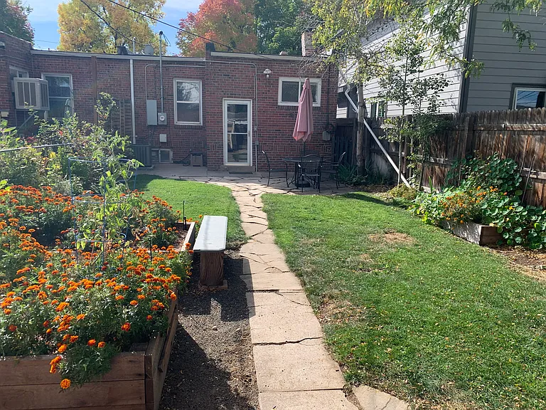 Backyard.