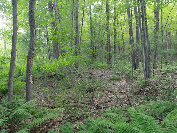 2nd image of 5077 Hwy 41
