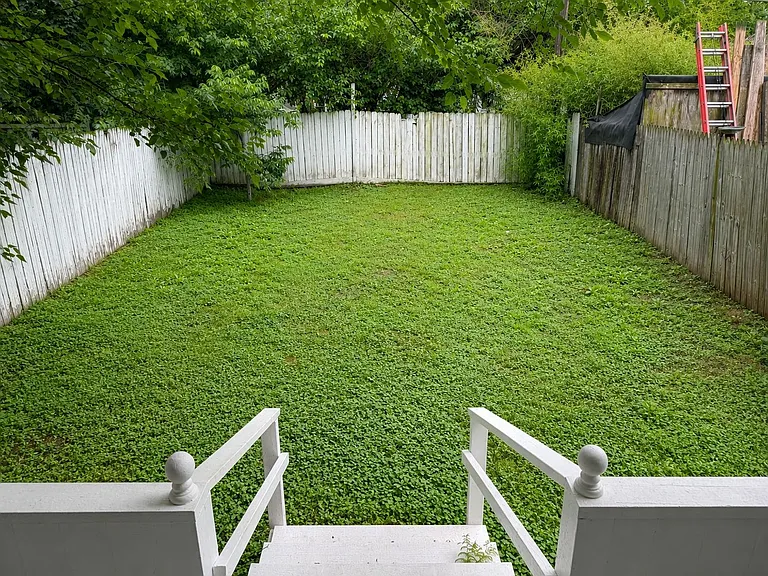 1435 Scott St — Photo 11