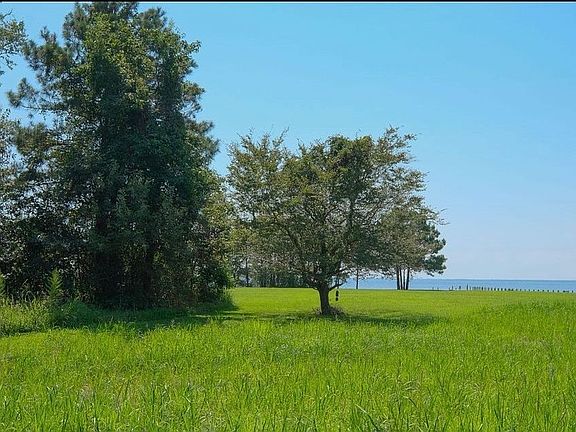 5th image of 116 Osprey Dr