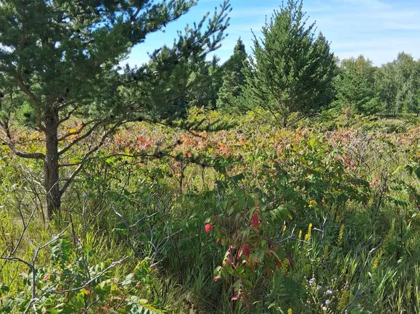 Overland Dr, Browerville, MN 56438