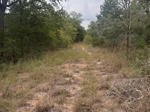 6 Spruce St, Paige, TX 78659