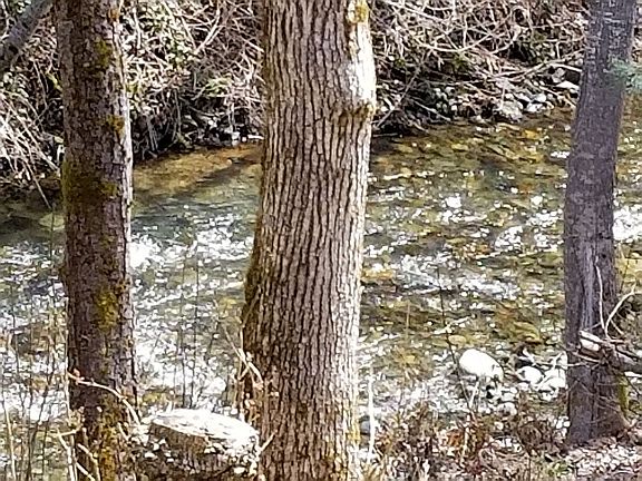 4th image of 519 Rush Creek Dr