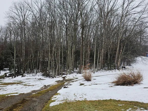 Gardner Ln, Norton, VA 24273