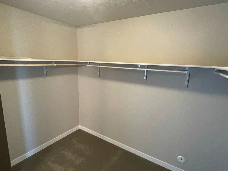 10371 Longtail Dr — Photo 30