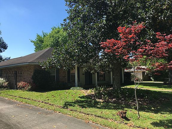 Japanese Red Maple/Magnolia