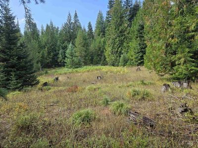 7 Hjalmar Johnson Rd, Weippe, ID, 83553