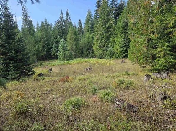 7 Hjalmar Johnson Rd, Weippe, ID 83553