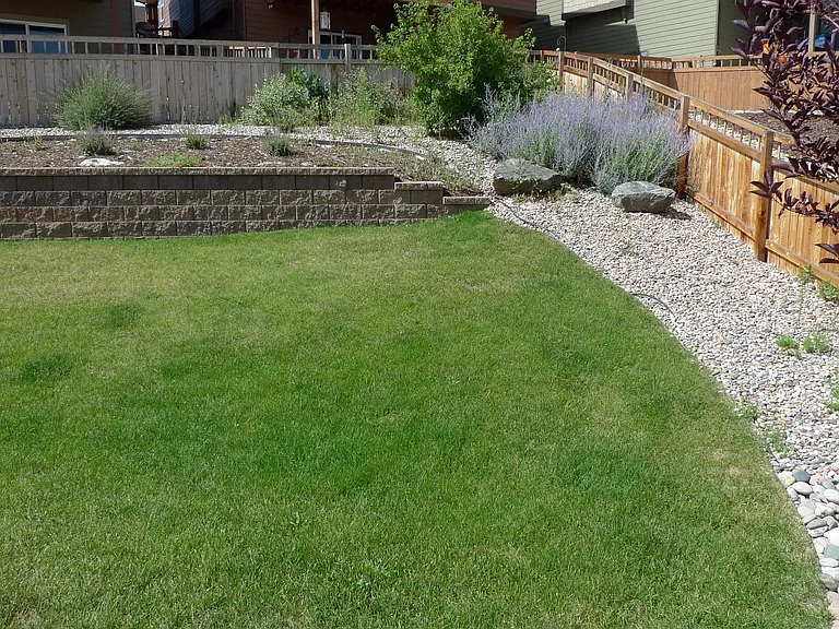 3315 Youngheart Way — Photo 29