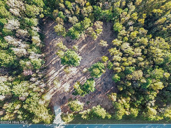 4th image of Lot 3 Us Hwy 117 S