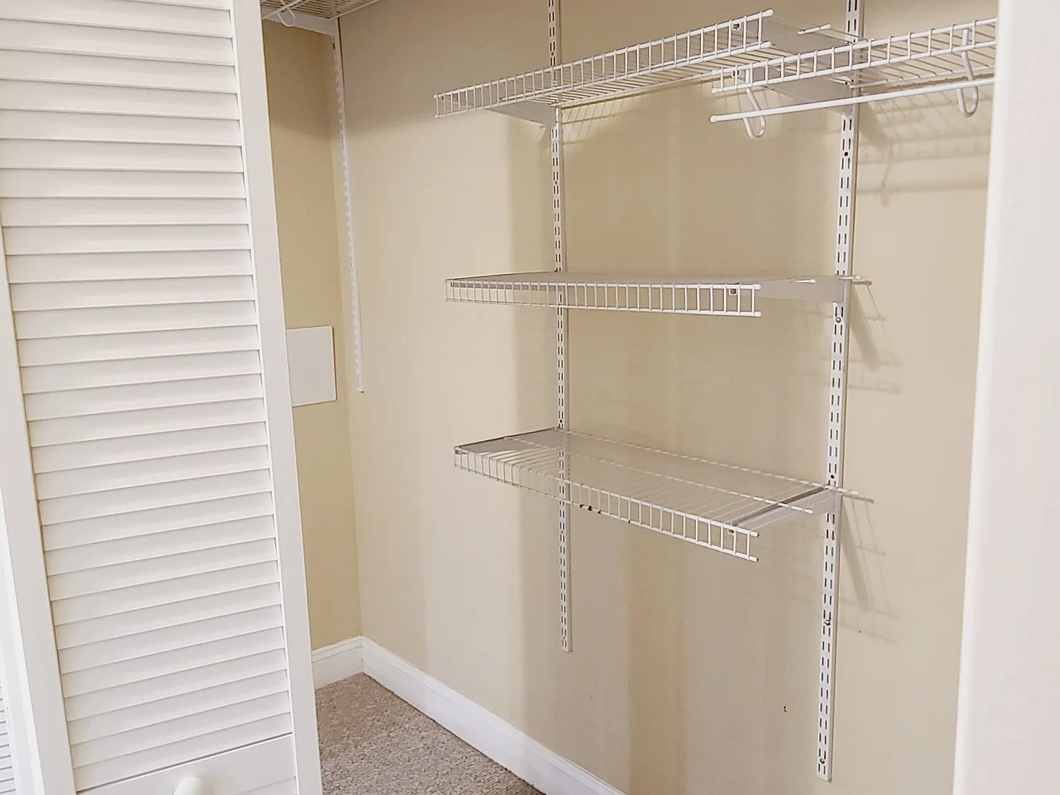 1 bed, 350 sqft, $1,500 — Photo 2