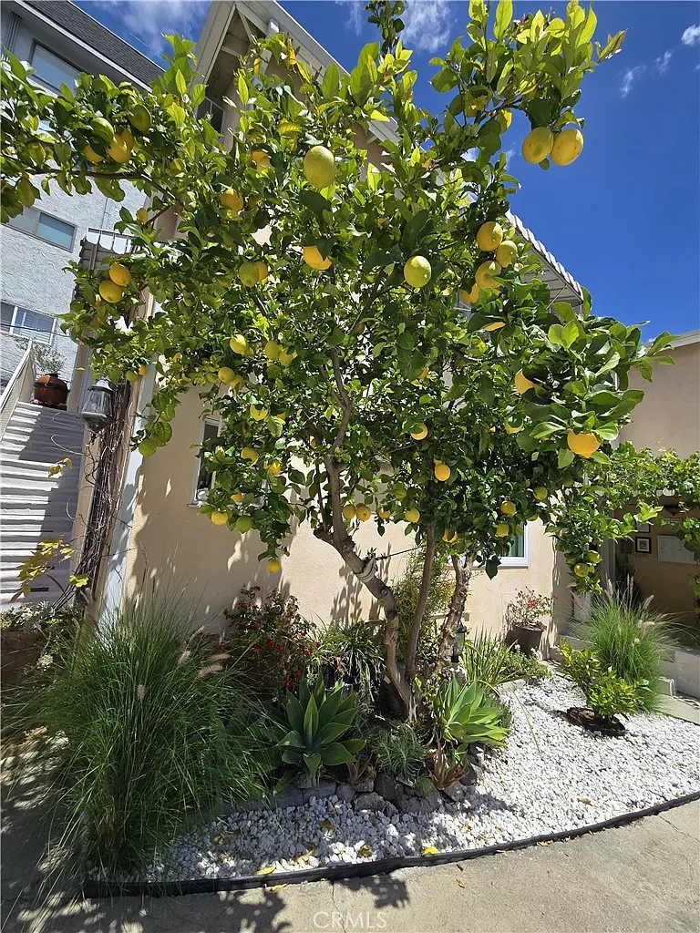 1 bed, 550 sqft, $2,200 — Photo 2
