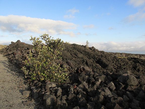 2nd image of Hukilau Dr Lot 7