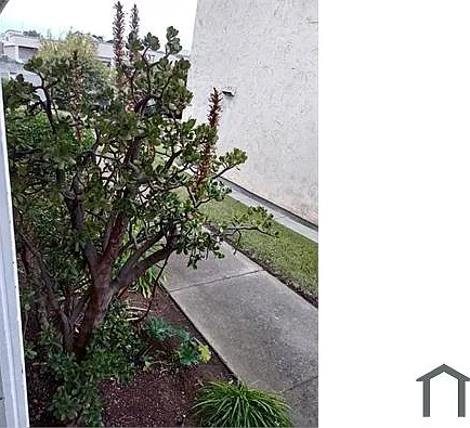 664 Lincoln Rd E — Photo 10