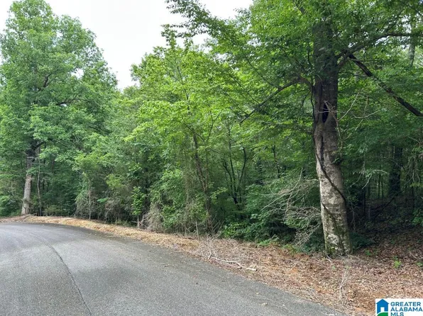 11306 Joe Namath Rd #1, Northport, AL 35475