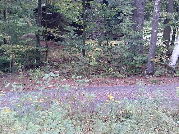 5th image of 190 Mason Young Ln