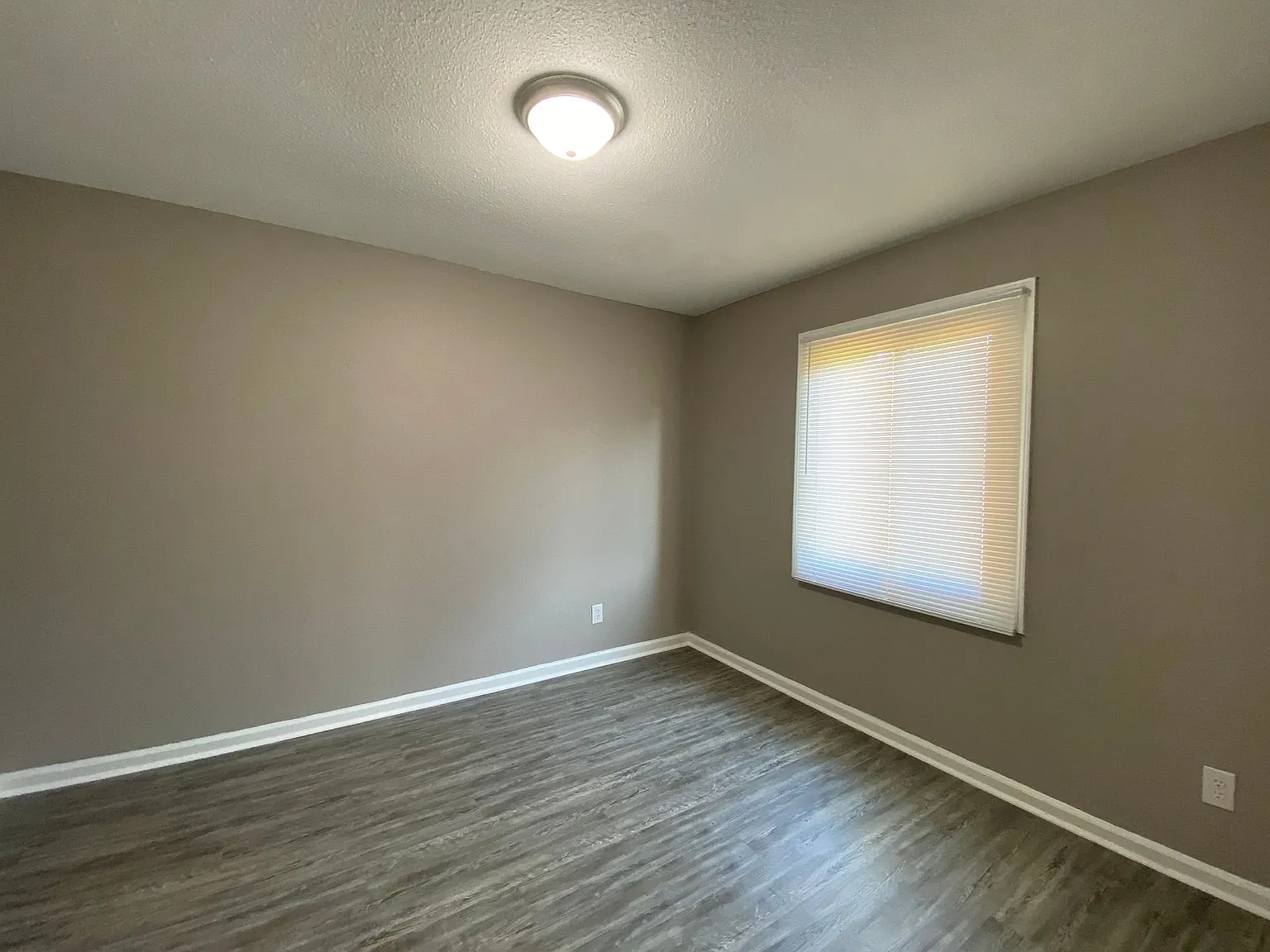 6145 Quince Rd — Photo 4