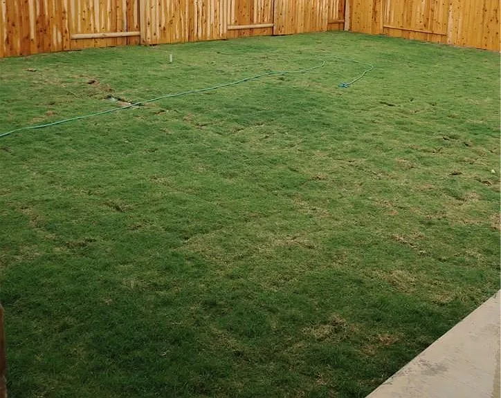 1313 Arbor Acres Loop — Photo 12