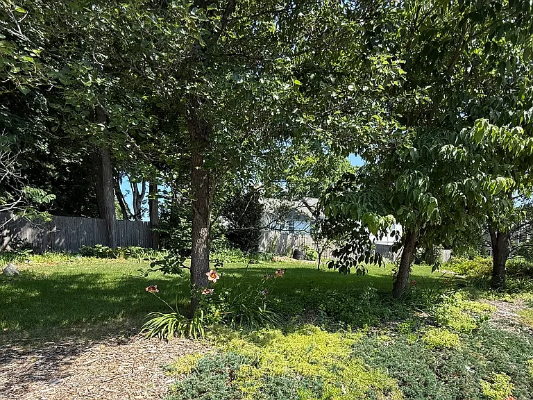Backyard, walking towards 76 High St, from off-street parking (on Auburn St)