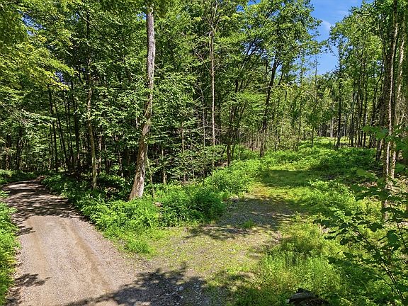2nd image of LOT 0 Thayer Hill Rd