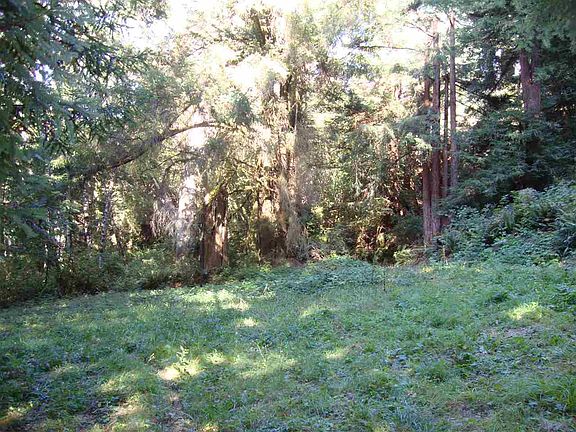 3rd image of 0 National Park Way