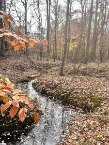 0 Harris Springs Rd, Cross Hill, SC, 29332