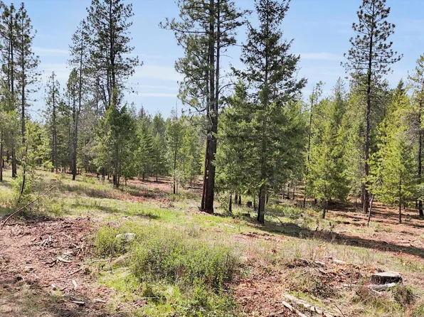69XX E Elk Bluff Ln, Elk, WA 99009