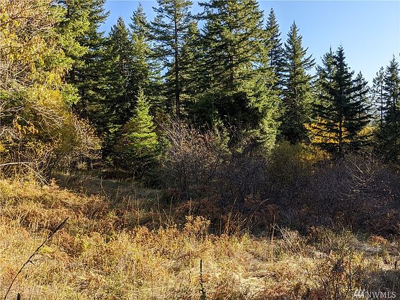 Building Site has mature evergreens on both sides of property lines. 