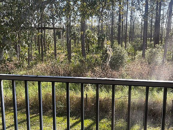 Beautiful patio view