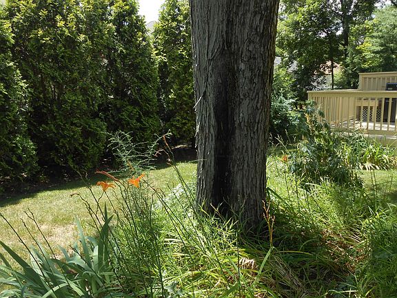 5th image of 1209 Broken Bow Ct